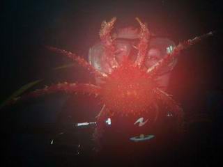 ,  1