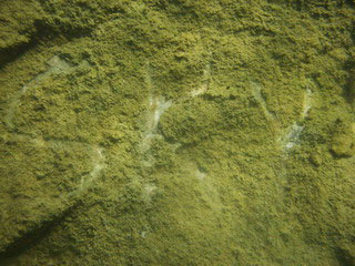 Sky on the Stone