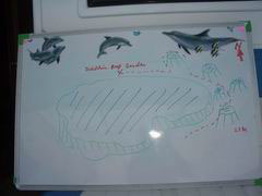 Dolphine Reef Garden