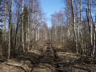 Партизанская тропа