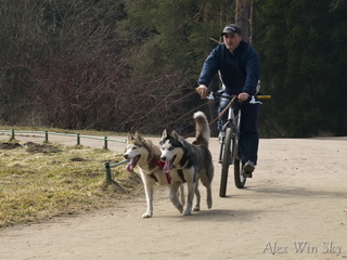 Bikejoring