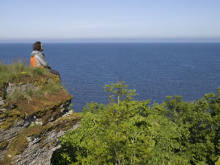,  2009